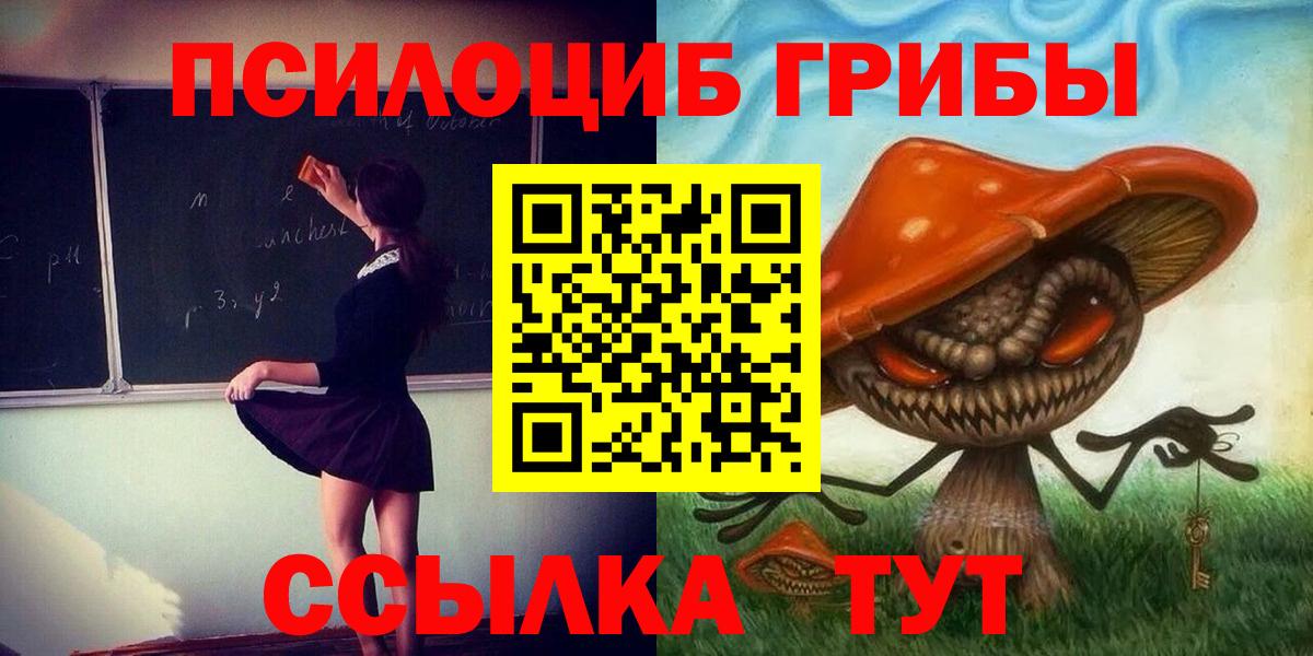 Псилоцибиновые грибы прущие грибы Лосино-Петровский