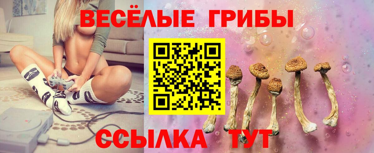 Лосино-Петровский  магазин продажи наркотиков  Вход с VPN  Галлюциногенные грибы мицелий 